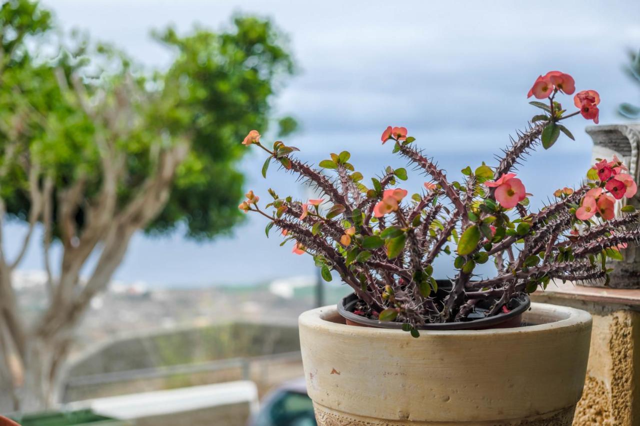 Casa Carmelita Lejlighed La Guancha Eksteriør billede